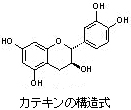 カテキンの構造式 カテキンの構造式